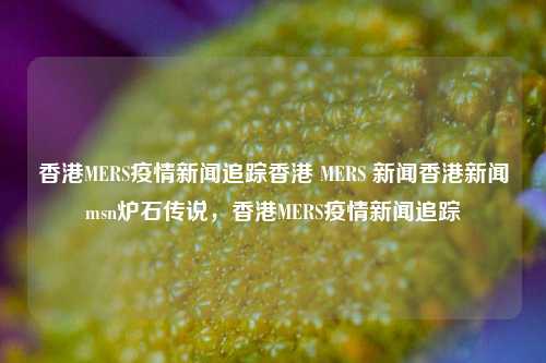 香港MERS疫情新闻追踪香港 MERS 新闻香港新闻msn炉石传说，香港MERS疫情新闻追踪，香港MERS疫情新闻追踪与香港MERS新闻报道-第1张图片-香港亚特