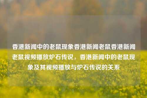 香港新闻中的老鼠现象香港新闻老鼠香港新闻老鼠视频播放炉石传说，香港新闻中的老鼠现象及其视频播放与炉石传说的关系，香港新闻中的老鼠现象及其与炉石传说视频播放的关联-第1张图片-香港亚特