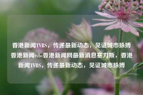 香港新闻TVBS，传递最新动态，见证城市脉搏香港新闻tvbs香港新闻网最新消息赛力斯，香港新闻TVBS，传递最新动态，见证城市脉搏，TVBS香港新闻，传递最新动态，见证城市脉搏的新闻平台-第1张图片-香港亚特